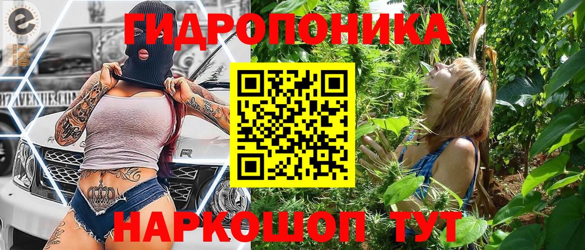 Владикавказ  Бошки Шишки индика  Конопля Amnesia  Конопля планчик  МАРИХУАНА ГИДРОПОН  Вход с VPN 